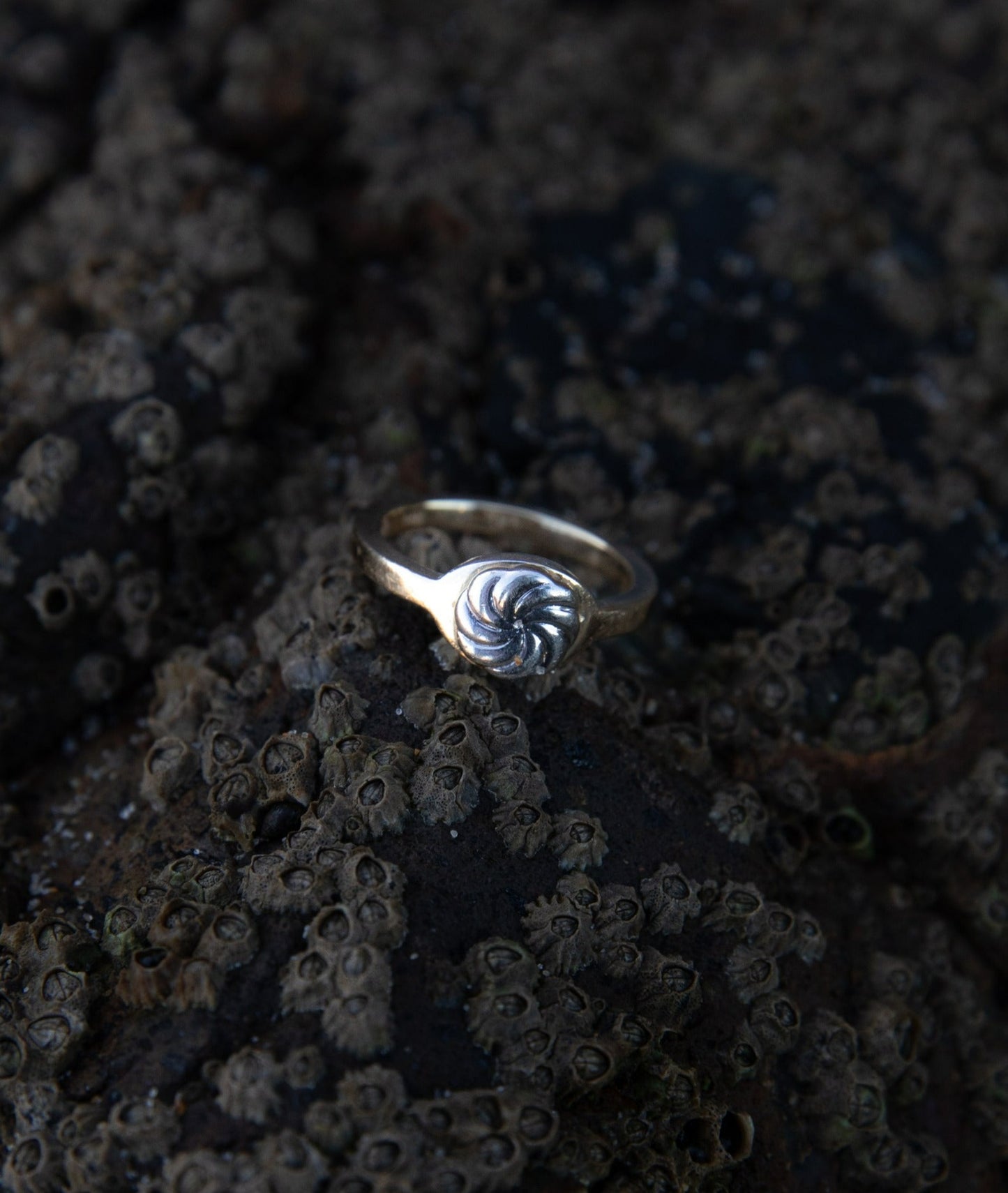 Eternity Signet Ring